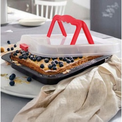 MOLDE RECTANGULAR CON TAPA Y CIERRE
