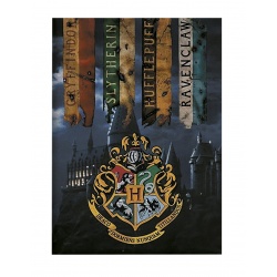 MANTA POLAR HARRY POTTER 
