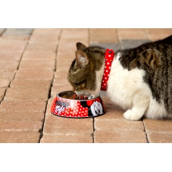 COMEDERO Y BEBEDERO MINNIE
