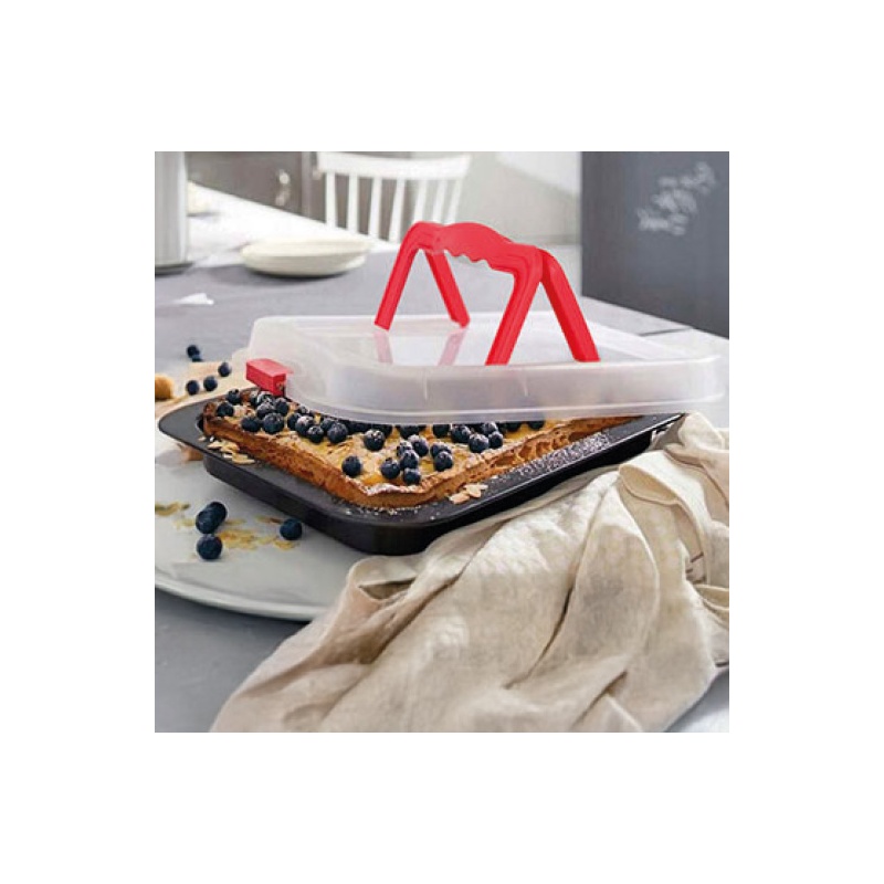 MOLDE RECTANGULAR CON TAPA Y CIERRE
