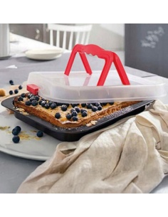 MOLDE RECTANGULAR CON TAPA Y CIERRE
