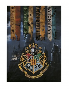 MANTA POLAR HARRY POTTER 
