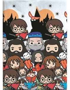 MANTA POLAR CLÁSICA HARRY POTTER
