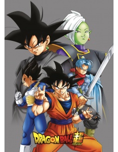 MANTA POLAR DRAGON BALL
